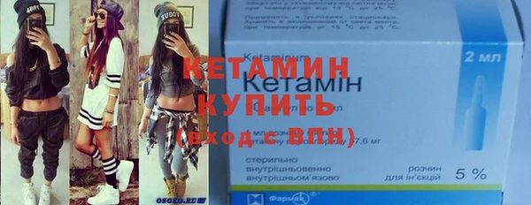 шишки Чердынь