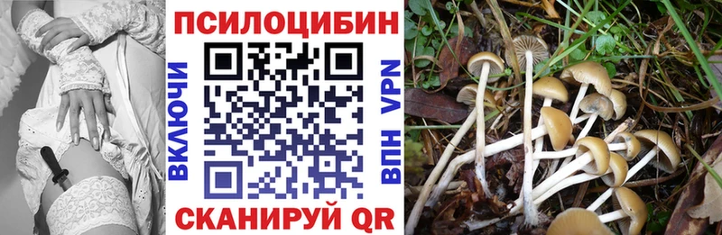 Галлюциногенные грибы прущие грибы  Купить где  Нытва 